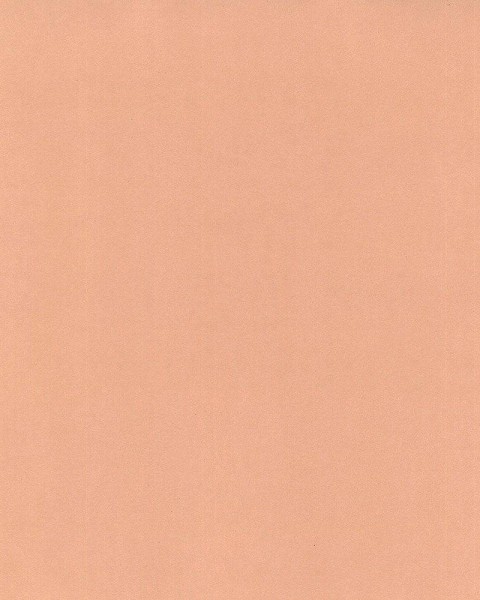 Hattan Palette | 26 Coral